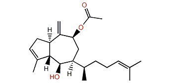 Acetyldictyol B